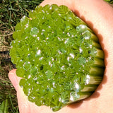 Pea Pod Green and Clear Leaves Murrine Sticks COE 90 Fusible Glass MSLE-022620