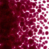 Fuchsia Transparent Glass Frit Coarse Bullseye COE 90 Fusible