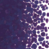 Gold Purple Glass Frit Coarse Bullseye COE 90 Fusible