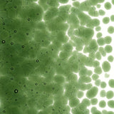 Olive Green Transparent Glass Frit Coarse Bullseye COE 90 Fusible