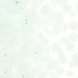 Spruce Green Pale Transparent Glass Frit Coarse Bullseye COE 90 Fusible