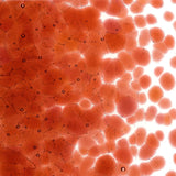 Sunset Coral Transparent Glass Frit Coarse Bullseye COE 90 Fusible