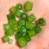a collection of green onion slices arranged on a surface, with some of the slices appearing to be made of a translucent material.