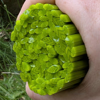 A hand holding a cluster of green celery stalks with leaf-like patterns on them.