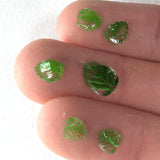 a close-up view of a person's fingers with several small, green leaf-shaped objects on them.