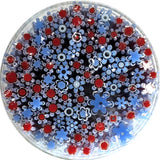 The image is a circular arrangement of various colored glass flowers, including red and blue flowers, creating a visually appealing and vibrant display.