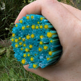 A hand is holding a large collection of blue and yellow objects, which appear to be small, cylindrical objects with a flower-like design.