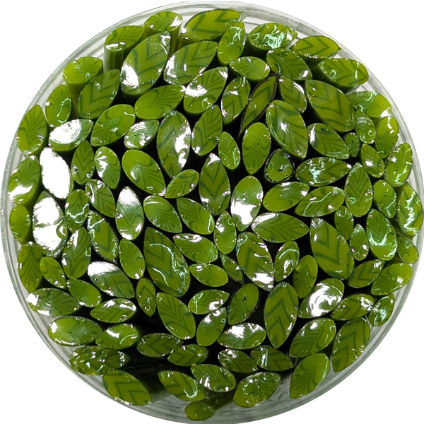 a circular arrangement of numerous green leaves, creating a visually striking and vibrant display.