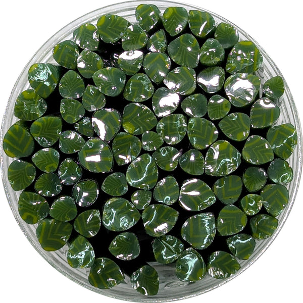 a circular arrangement of numerous green leaves, possibly from a plant, placed in a clear container.