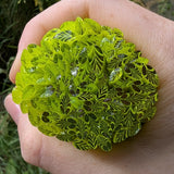 A hand is holding a green leaf-shaped object, which appears to be made of a material that resembles leaves.