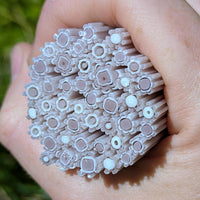 Dusty Lilac Flowers Murrine Sticks COE 90 Fusible Glass MSFL-021313