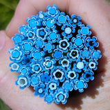 Egyptian Blue and Light Cyan Flowers Murrine Sticks COE 90 Fusible Glass MSFL-020808