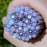 Gold Purple and Neo Lavendar Flowers Murrine Sticks COE 90 Fusible Glass MSFL-021212