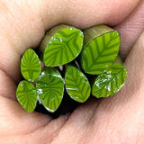 Lemongrass Leaves Murrine Sticks COE 96 Fusible Glass MSLE-012422-96