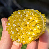 Marigold and French Vanilla Flowers Murrine Sticks COE 90 Fusible Glass MSFL-010618