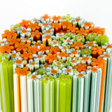 Orange & Peapod Green Wildflower Murrine Sticks COE 90 Fusible Glass MSFL-01