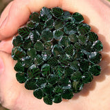 Dark Green and Clear Leaves Murrine Sticks COE 96 Fusible Glass MSLE-022826-96