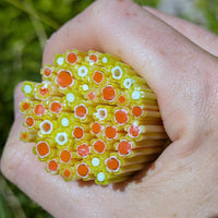 Marigold and Orange Flowers Murrine Sticks COE 90 Fusible Glass MSFL-021111