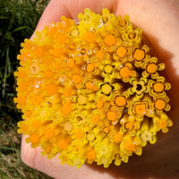 Opaque Yellow and Orange Flower Murrine Sticks COE 96 Fusible Glass MSFL-021118-96