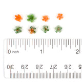 Orange & Fern Green Wildflower Murrine Sticks COE 96 Fusible Glass MSFL-01-96