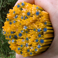 Orange and Mariner Blue Flower Murrine Sticks COE 96 Fusible Glass MSFL-031805-96