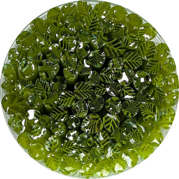 Pea Pod Green and Clear Leaves Murrine Sticks COE 90 Fusible Glass MSLE-022620