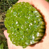 Pea Pod Green and Clear Leaves Murrine Sticks COE 90 Fusible Glass MSLE-022620