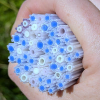 Petal Pink and Cobalt Blue Flowers Murrine Sticks COE 90 Fusible Glass MSFL-021616