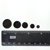 One powder wafer in each of the five sizes with a ruler for scale comparison.
