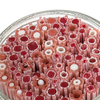 Salmon Pink and Deep Red Flowers Murrine Sticks COE 90 Fusible Glass MSFL-021010