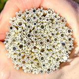 Snow Blossom Flowers Murrine Sticks COE 90 Fusible Glass MSFL-010718