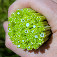 Spring Green Flowers Murrine Sticks COE 90 Fusible Glass MSFL-021414