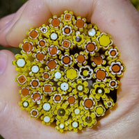 Sunflower and Burnt Orange Flowers Murrine Sticks COE 90 Fusible Glass MSFL-020909