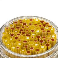 Sunflower and Burnt Orange Flowers Murrine Sticks COE 90 Fusible Glass MSFL-020909