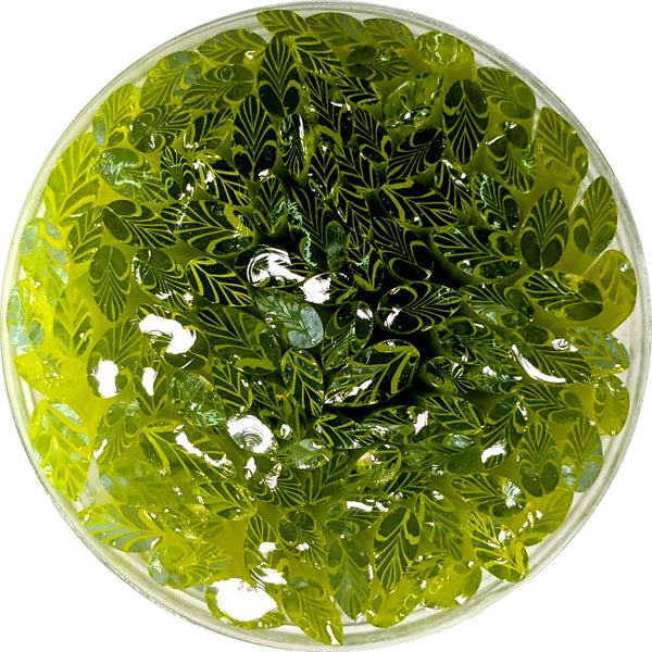 a circular glass bowl filled with a green liquid, containing numerous small, leaf-like objects.