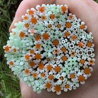 A hand holding a circular arrangement of colorful flower-shaped objects, including orange and white flowers, as well as some green and white flowers.