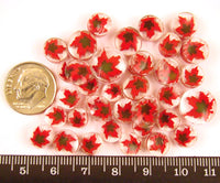 Maple Leaf Murrine 7101 Millefiori COE 90 Glacial Art Glass